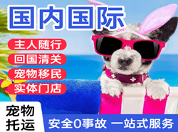 长乐航空托运国际宠物托运 【国